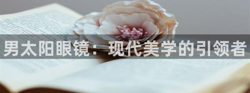 新宝5安卓版