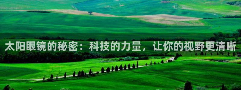 新宝5登录地址