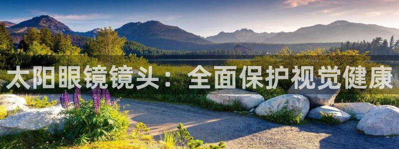 新宝5娱乐登陆