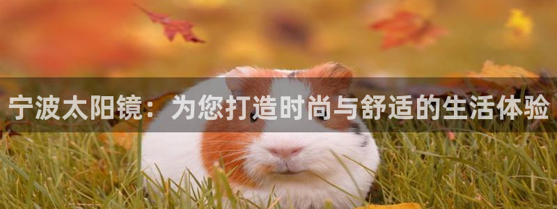 新宝5秒开