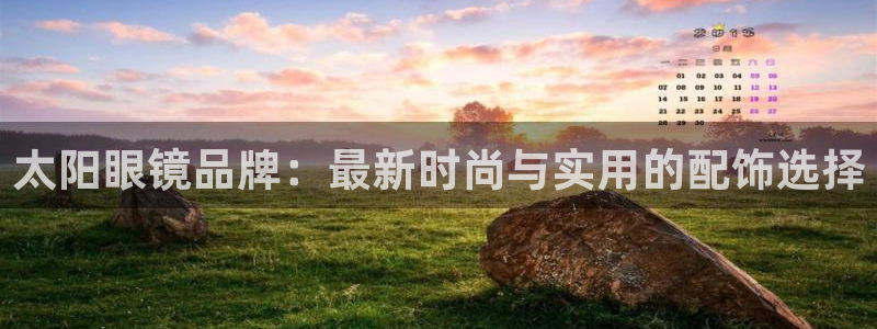 新宝股东王听2 5 5
