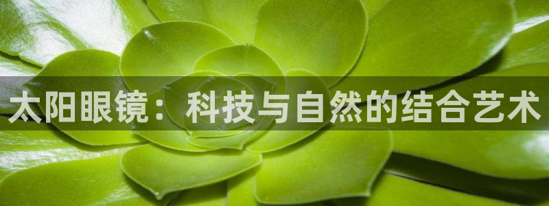 新宝奇迹GG5