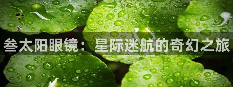 新宝5招商部