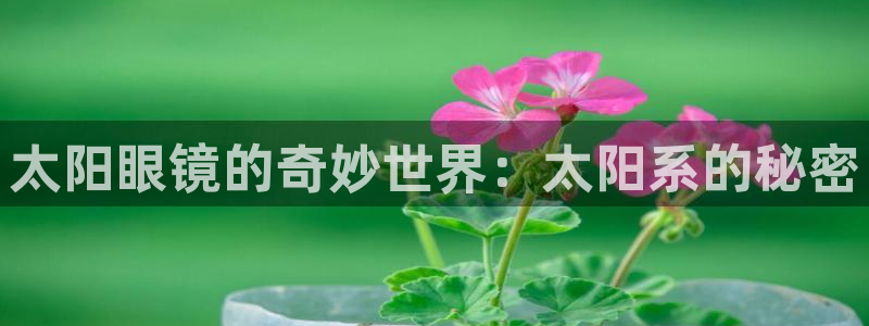 新宝5官网平台