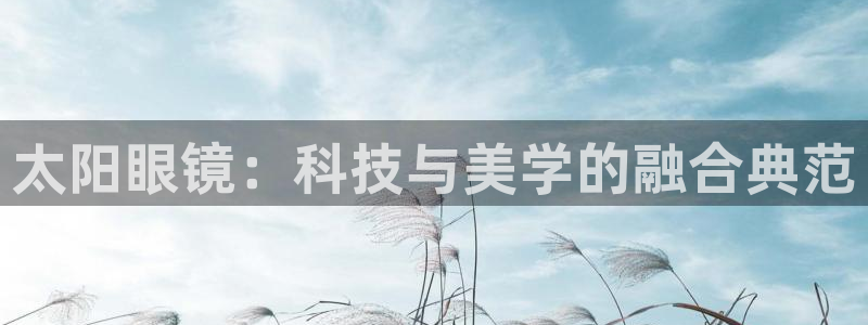 新宝5网站