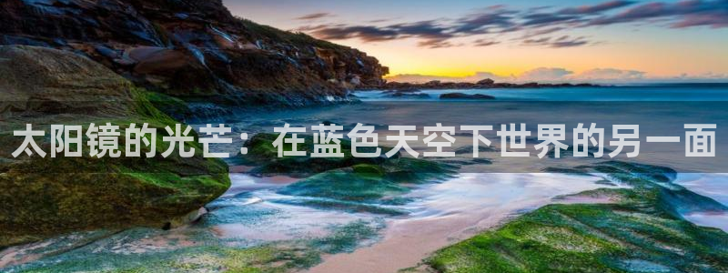 新宝5app手机下载