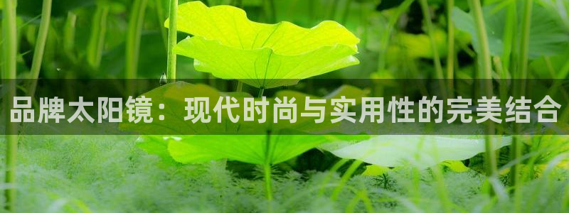 新宝5登陆地址