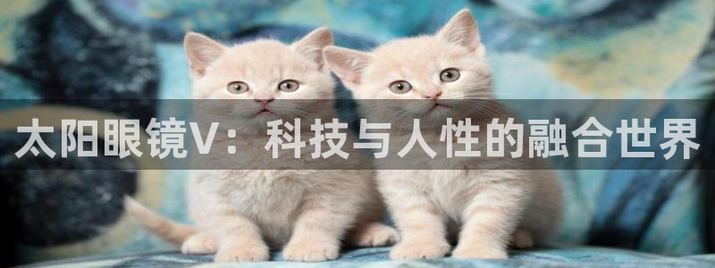 新宝娱乐5入口