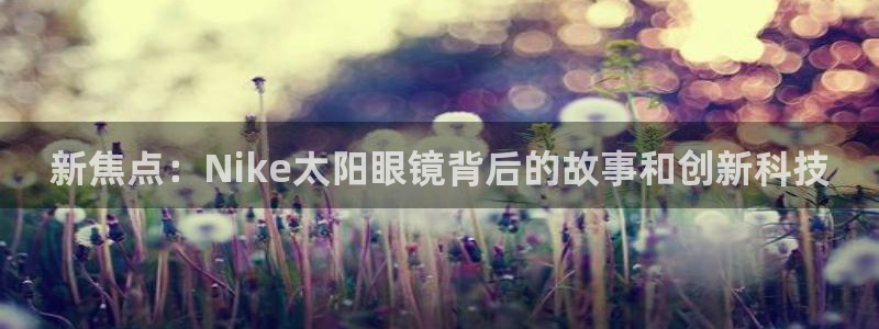 新宝股东王听2 5 5