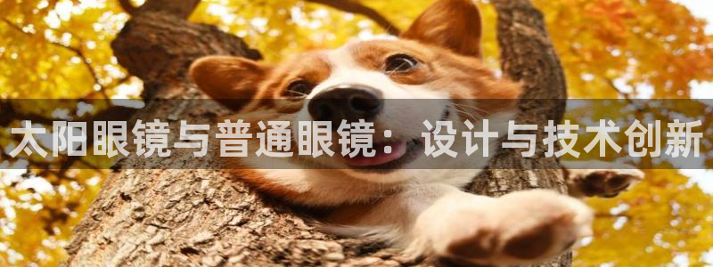 新宝5下载网址