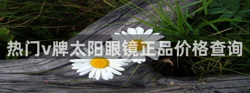 新宝5娱乐主管