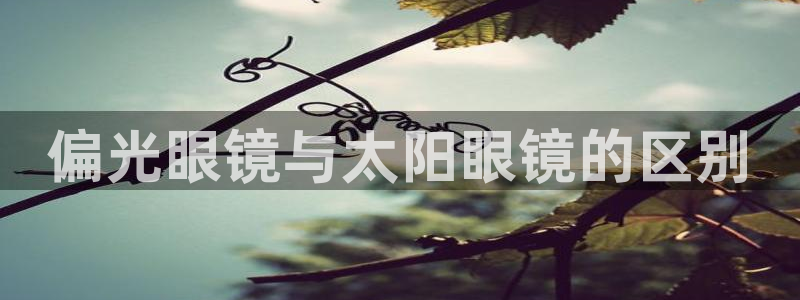 新宝h2O5O5O
