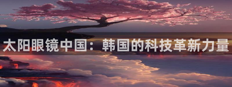 新宝股东张听2 5 5