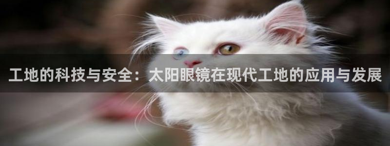 新宝5是谁的