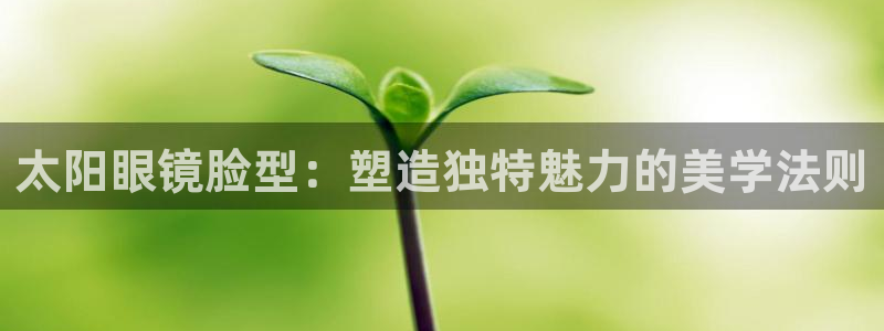 新宝5是什么