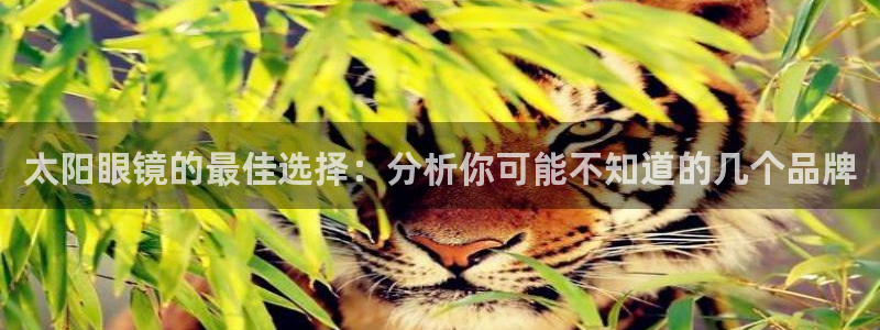 新宝5开户