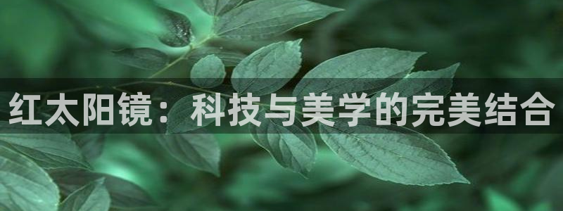 新宝5娱乐招商