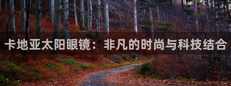 新宝5新宝6顺达