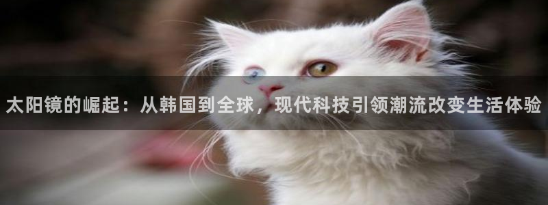 新宝5彩票是正规平台吗