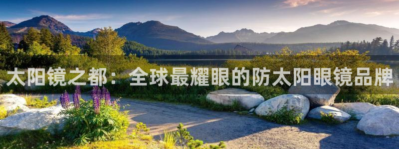 新宝5的网址