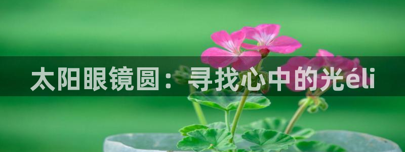 新宝5新宝6顺达