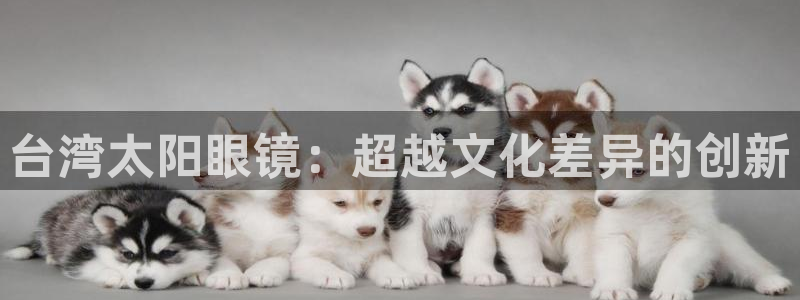 新宝5怎么下载到桌面