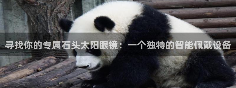 新宝5是什么样子的