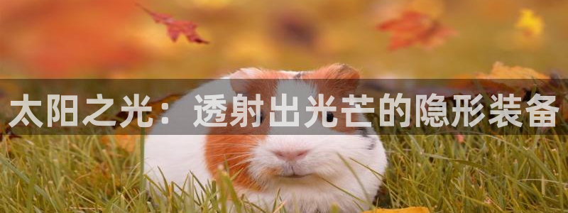 新宝5下载到桌面