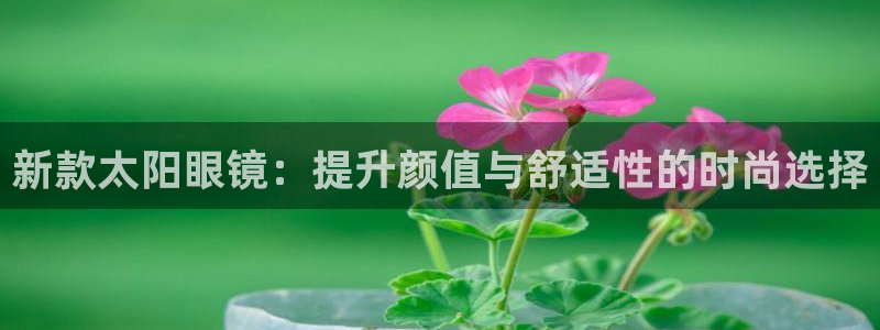 新宝5娱乐然