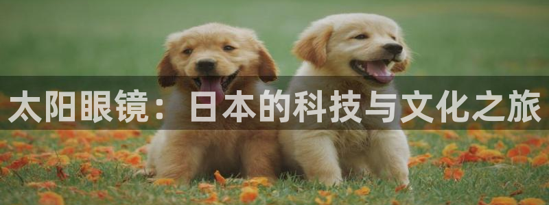 新宝5的网址