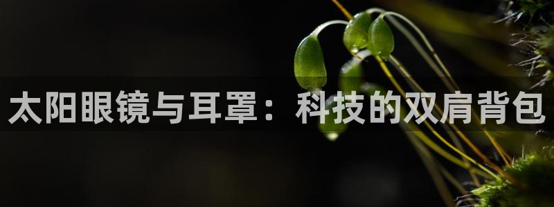 新宝5苹果手机下载