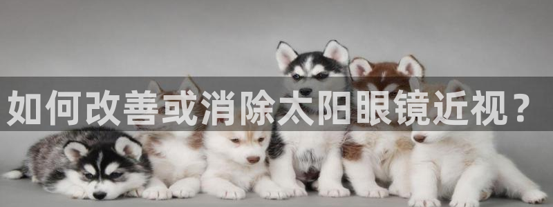 股票5G宝新