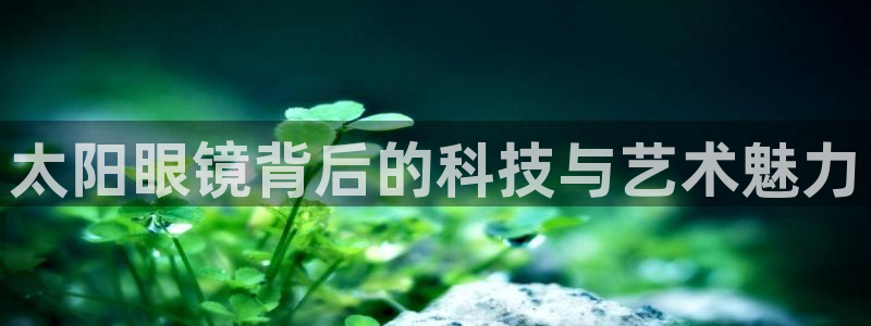 新宝5娱乐代理